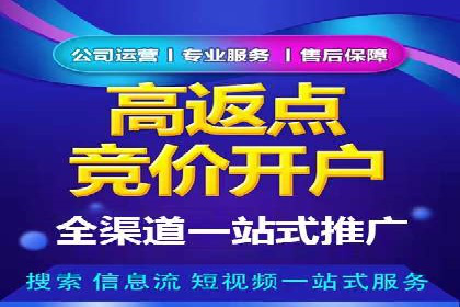 SEM托管优化案例：打造精准广告投放策略